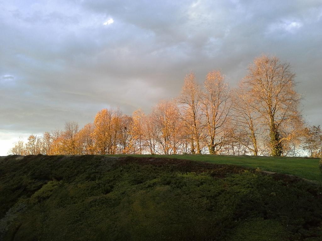 B&B Cascina Bellavista Tigliole Zewnętrze zdjęcie
